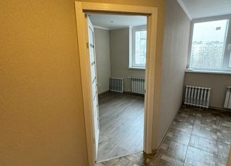 Продается 1-комнатная квартира, 26 м2, Санкт-Петербург, улица Асафьева, 6к2, метро Озерки