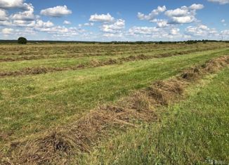 Продаю земельный участок, 380 сот., село Алтынжар, Новая улица