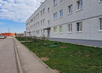 Продается 3-комнатная квартира, 70 м2, Новгородская область, улица Елисеева, 3