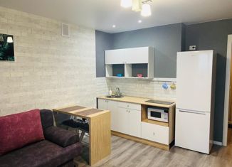 Сдается в аренду квартира студия, 24 м2, Барнаул, улица Гущина, 175, Ленинский район