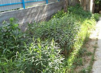 Продажа дома, 58.9 м2, Белокуриха, Боевой переулок