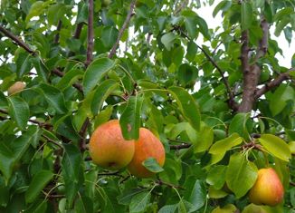 Дом на продажу, 100 м2, Добрянка, Красноармейская улица