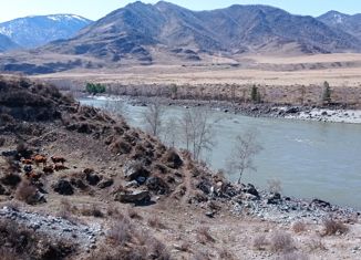 Продается земельный участок, 43 сот., село Куюс, Центральная улица