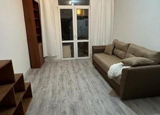 Продаю квартиру студию, 28 м2, Санкт-Петербург, Левашовский проспект, 2, Левашовский проспект