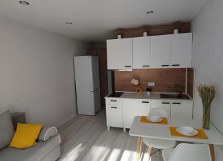 Квартира на продажу студия, 24 м2, Санкт-Петербург, Петрозаводская улица, 3, муниципальный округ Чкаловское