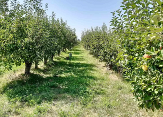 Продаю земельный участок, 10 сот., село Нижняя Шиловка