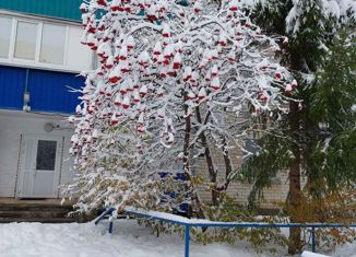 Продам 2-ком. квартиру, 56.6 м2, Чебаркуль, территория Санаторий Сосновая Горка, 4