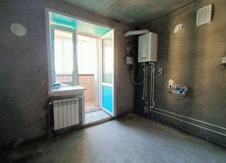 Продам 1-ком. квартиру, 37.4 м2, село Семёновка, Молодёжная улица