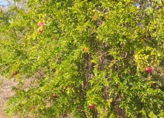 Земельный участок на продажу, 22 сот., село Яковенково, улица Славы, 6