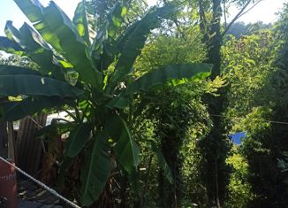 Земельный участок на продажу, 4.5 сот., СТ Уютное, СТ Уютное, 92