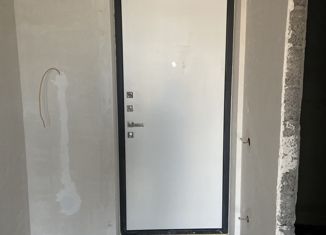 Продаю однокомнатную квартиру, 27.71 м2, деревня Патрушева, улица Александра Пушкина, 14