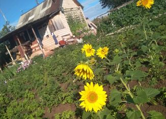 Продажа дома, 32 м2, СНТ Васильки