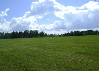 Продается земельный участок, 631 сот., село Косулино, улица Ленина, 62Г