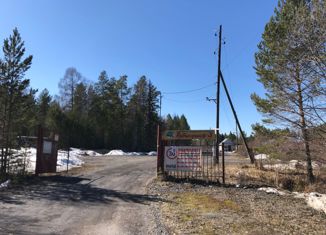 Продаю земельный участок, 8 сот., СНТ Рябинушка-3