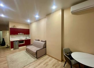 Продажа квартиры студии, 30 м2, Ростов-на-Дону, Береговая улица, 6, Ленинский район