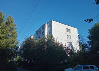 Продажа 2-комнатной квартиры, 57.3 м2, деревня Старосиверская, Кезевская дорога, 64Г