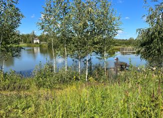 Продается земельный участок, 38 сот., деревня Павлищево, деревня Павлищево, 47Б