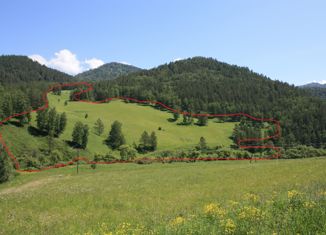 Участок на продажу, 800 сот., село Узнезя