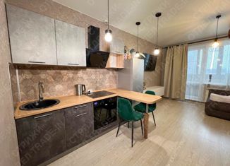 Продаю квартиру студию, 30.2 м2, Новосибирск, улица Костычева, 40/3, улица Костычева