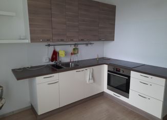 Сдаю в аренду 1-ком. квартиру, 39.7 м2, Екатеринбург, Ремесленный переулок, 6, ЖК Серебряная Подкова