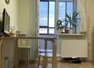 Продаю 1-ком. квартиру, 32.8 м2, поселок Бугры, Тихая улица, 1, ЖК Новые Горизонты