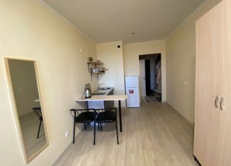 Сдаю в аренду квартиру студию, 23 м2, Мурино, Воронцовский бульвар, 19к1, ЖК Материк