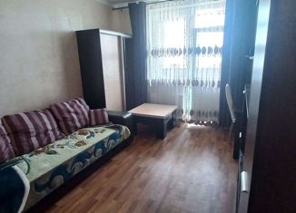 Продам 1-комнатную квартиру, 28.7 м2, село Чапаевское, Центральная улица, 130Д