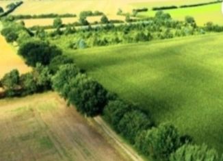 Продаю участок, 425 сот., Помарское сельское поселение