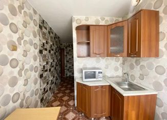 Продажа 2-комнатной квартиры, 44 м2, Кемеровская область, улица Новостройка, 17