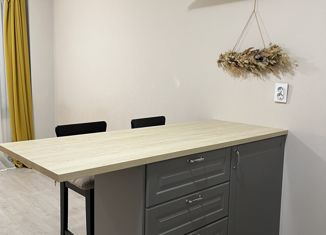 Квартира на продажу студия, 25 м2, Мурино, Екатерининская улица, 8к2, ЖК Три кита