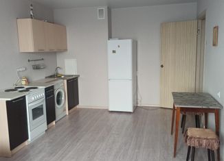 Сдаю квартиру студию, 25 м2, Ростов-на-Дону, ЖК Платовский, Художественная улица, 9