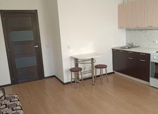 Продам квартиру студию, 25 м2, Краснодар, ЖК Каскад, улица Дмитрия Благоева, 31к1