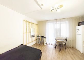 Квартира на продажу студия, 23.9 м2, Челябинск, улица Александра Шмакова, 23