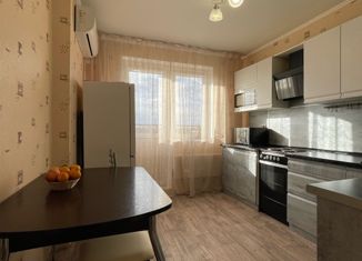 Двухкомнатная квартира на продажу, 46 м2, посёлок Берёзовый, улица Ивана Кулибина, 4, ЖК Прогресс