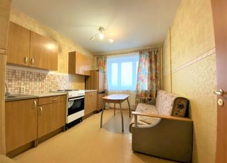 Сдается 1-комнатная квартира, 43 м2, Санкт-Петербург, улица Михаила Дудина, 23к1, улица Михаила Дудина