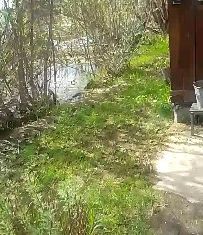 Продам дом, 42 м2, Томск, Кировский район