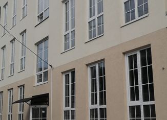 1-ком. квартира на продажу, 28 м2, село Весёлое, Петропавловская улица, 1/8