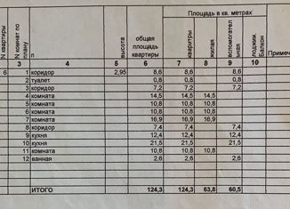 Комната на продажу, 125 м2, Санкт-Петербург, Спасский переулок, 6-8, муниципальный округ Сенной