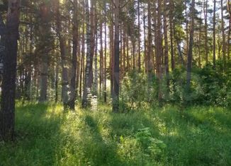 Продам дом, 48 м2, СДТ Рассвет