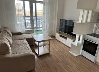 Сдается 1-ком. квартира, 50 м2, Екатеринбург, Машинная улица, 1Бк1, ЖК Чемпион Парк