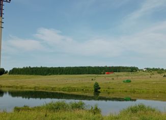 Продажа земельного участка, 156 сот., деревня Синьял-Покровское