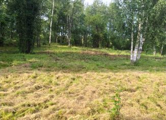 Продаю участок, 10 сот., деревня Бортники, 29Н-083