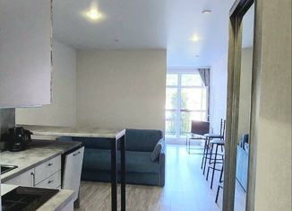 Продается квартира студия, 32.1 м2, посёлок городского типа Дагомыс, улица Гайдара, 22, ЖК Босфор