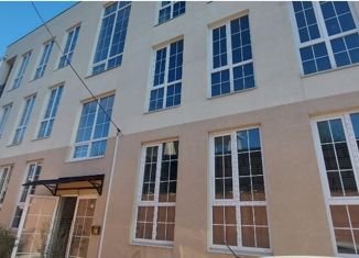 Продается квартира студия, 20 м2, село Весёлое, Петропавловская улица, 1/5