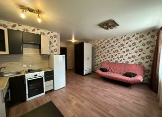 Продается квартира студия, 26.7 м2, Иваново, микрорайон Новая Ильинка, 3, Фрунзенский район