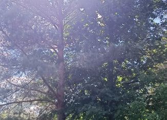 Продам земельный участок, 20 сот., деревня Мишуткино, деревня Мишуткино, 2