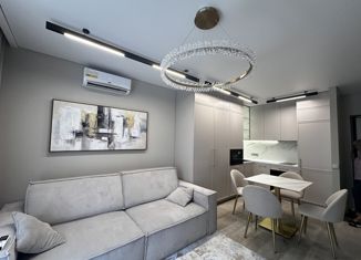 Продам 1-ком. квартиру, 34 м2, Сочи, переулок Трунова, 6к3, микрорайон Завокзальный