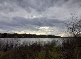 Продается земельный участок, 30 сот., село Паша, улица Павла Нечесанова