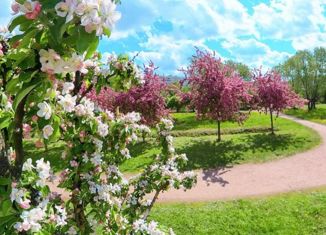 Продаю 1-ком. квартиру, 31.1 м2, Санкт-Петербург, Белградская улица, 20к1, метро Международная