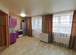 Сдам квартиру студию, 28 м2, Ярославль, Спасская улица, 2, Дзержинский район